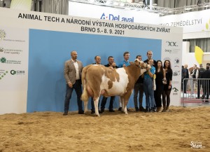 Národní výstava zvířat Brno 2021 - Fotografie 24
