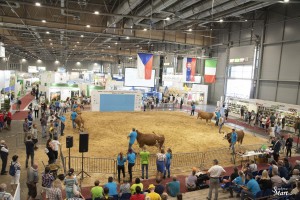 Národní výstava zvířat Brno 2021 - Fotografie 27