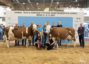 Národní výstava zvířat Brno 2021 - Fotografie 49