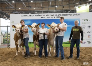 Národní výstava  Brno 2023 - Fotografie 13