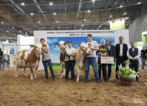 Národní výstava  Brno 2023 - Fotografie 14