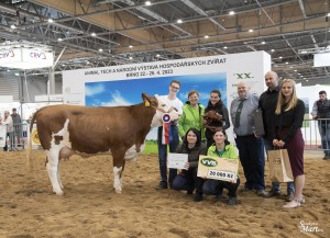 Národní výstava  Brno 2023 - Fotografie 15