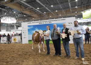Národní výstava  Brno 2023 - Fotografie 27