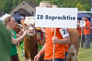 Chovatelský den Roprachtice - Fotografie 16