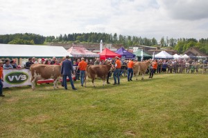 Chovatelský den Roprachtice - Fotografie 20