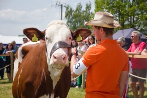 Chovatelský den Roprachtice - Fotografie 67