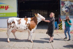 Zemědělský den Mžany - Fotografie 15