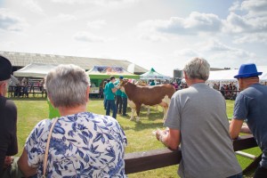 Zemědělský den Mžany - Fotografie 25