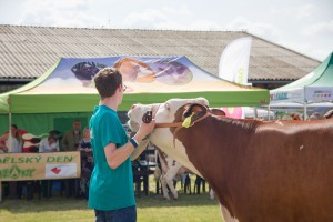 Zemědělský den Mžany - Fotografie 29