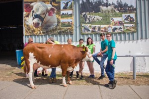 Zemědělský den Mžany - Fotografie 74