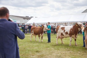 Zemědělský den Mžany - Fotografie 113