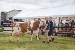 Zemědělský den Mžany - Fotografie 117
