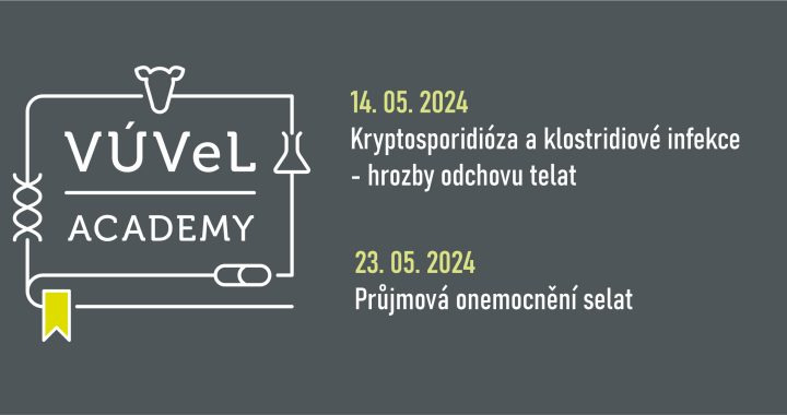 Obecny Na Web5 720x380