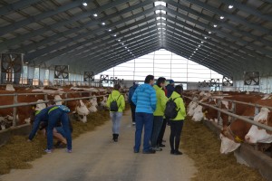 Den otevřených dveří AGRO Liboměřice a.s. - Fotografie 8