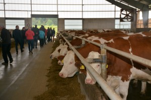 Den otevřených dveří AGRO Liboměřice a.s. - Fotografie 9