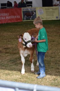 XV. Národní výstava v Radešínské Svratce - Fotografie 17