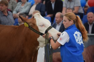 XV. Národní výstava v Radešínské Svratce - Fotografie 21