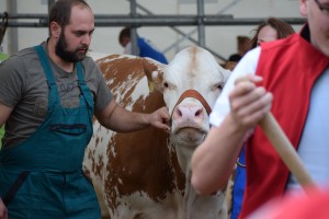 XV. Národní výstava v Radešínské Svratce - Fotografie 26