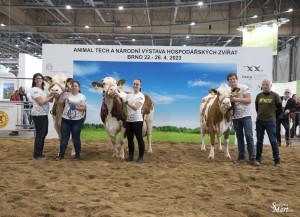 Národní výstava  Brno 2023 - Fotografie 2