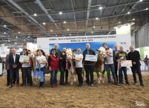 Národní výstava  Brno 2023 - Fotografie 4