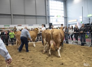Národní výstava  Brno 2023 - Fotografie 7