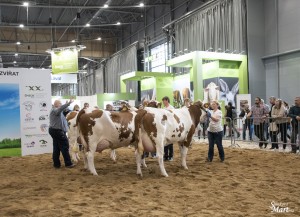 Národní výstava  Brno 2023 - Fotografie 8
