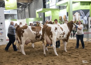 Národní výstava  Brno 2023 - Fotografie 9