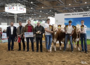 Národní výstava  Brno 2023 - Fotografie 12