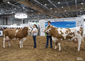 Národní výstava  Brno 2023 - Fotografie 19