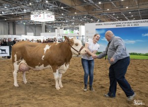 Národní výstava  Brno 2023 - Fotografie 20