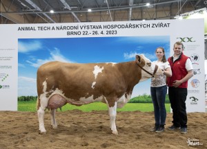 Národní výstava  Brno 2023 - Fotografie 22