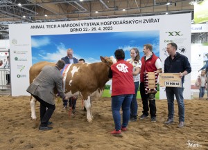 Národní výstava  Brno 2023 - Fotografie 23