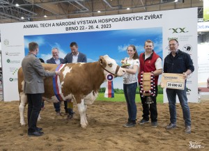 Národní výstava  Brno 2023 - Fotografie 24