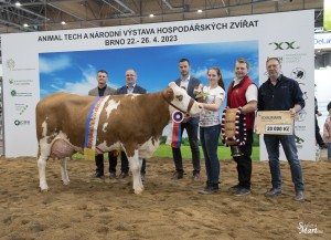 Národní výstava  Brno 2023 - Fotografie 25