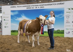Národní výstava  Brno 2023 - Fotografie 26
