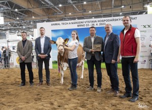 Národní výstava  Brno 2023 - Fotografie 33