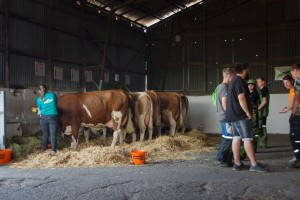 Zemědělský den Mžany - Fotografie 3